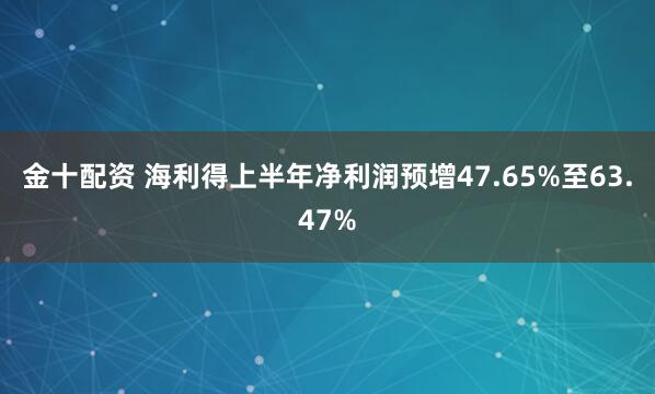 金十配资 海利得上半年净利润预增47.65%至63.47%