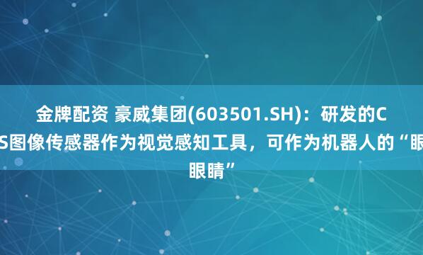 金牌配资 豪威集团(603501.SH)：研发的CMOS图像传感器作为视觉感知工具，可作为机器人的“眼睛”